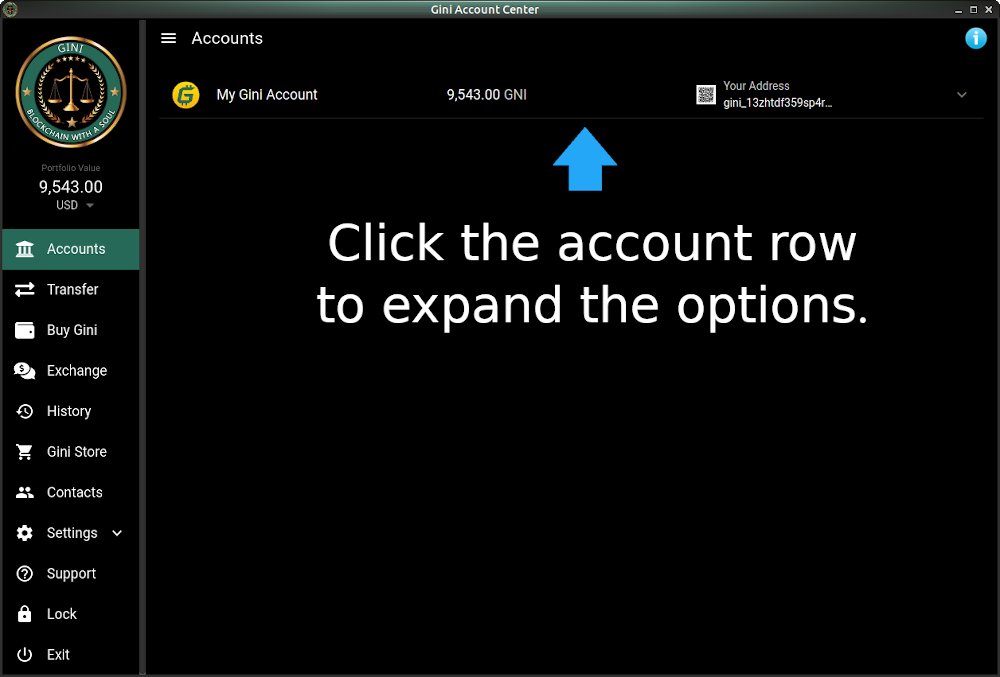 Gini Accounts Screen