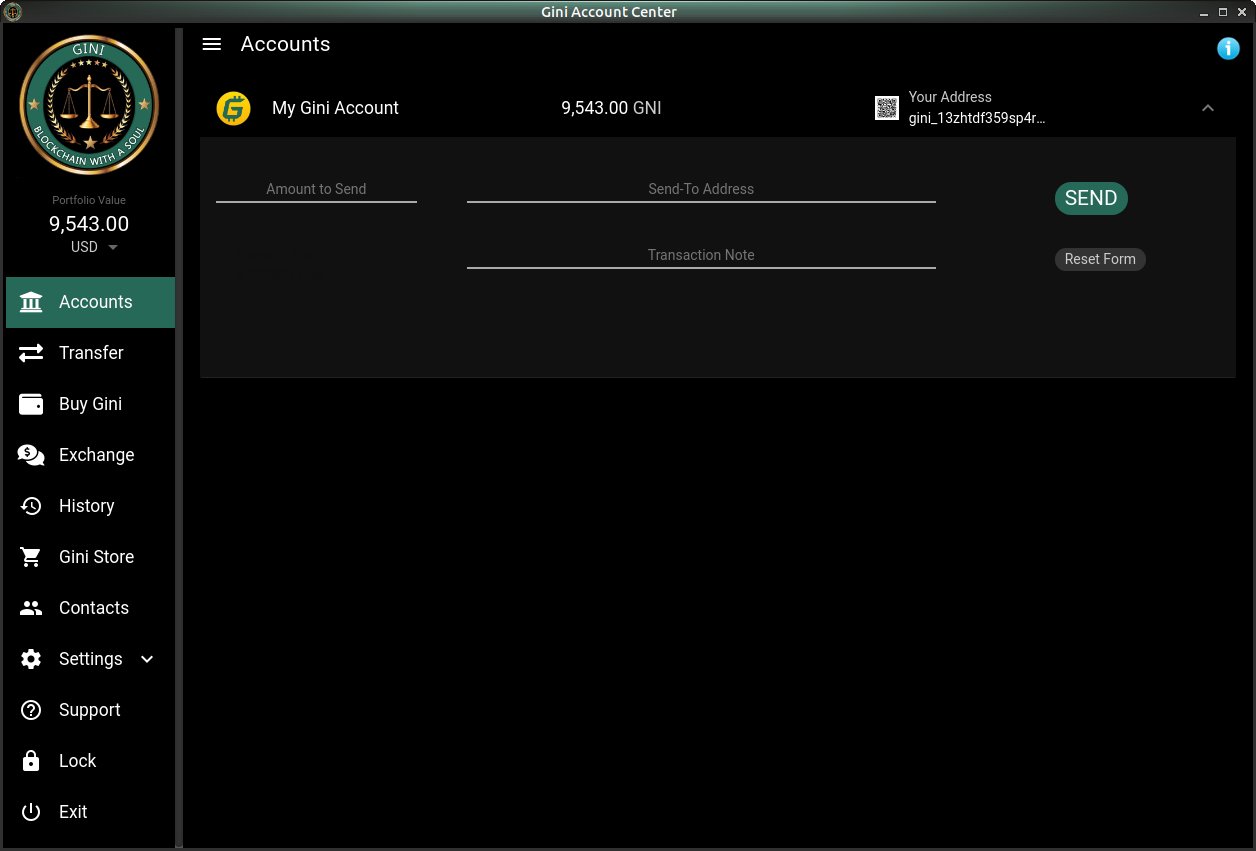 Gini Accounts Screen