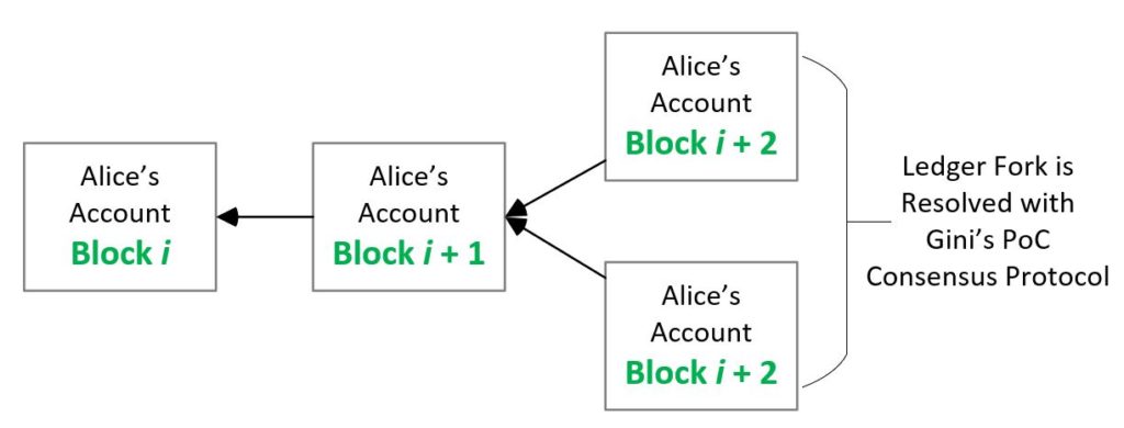 gini-poc-protocol-resolves-forks