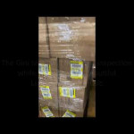 Gini Warehouse 10 Million Nitrile Gloves Inspection Gini Warehouse 10 Million Nitrile Gloves Inspection