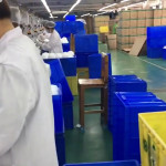 KN95 Factory 4 (no sound) KN95 Factory 4 (no sound)