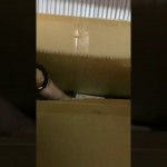 KN95 Masks on Truck 6 01 2020 KN95 Masks on Truck 6 01 2020